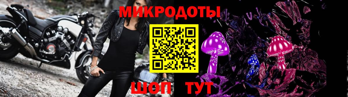 Галлюциногенные грибы прущие грибы  Вход с VPN  Трёхгорный  Галлюциногенные грибы Cubensis 